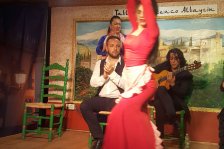 558 granada flamenco show
